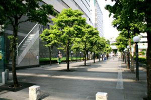 tachikawa06